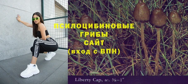 мескалин Баксан