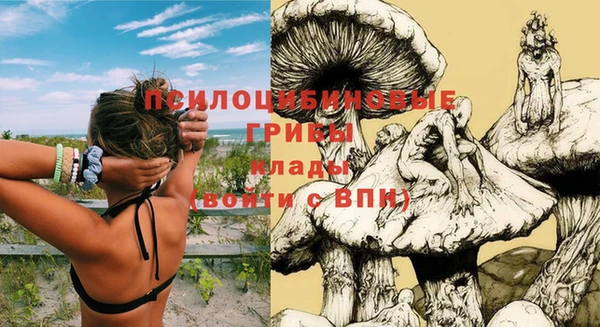 PSILOCYBIN Кинешма