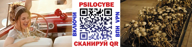 Псилоцибиновые грибы Psilocybine cubensis  Ногинск 