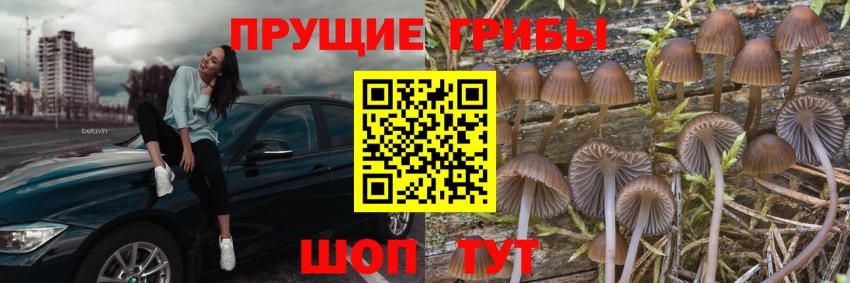 Галлюциногенные грибы ЛСД Ногинск