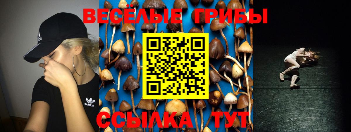 Ногинск  где купить наркотик  Вход с VPN  Псилоцибиновые грибы MAGIC MUSHROOMS 